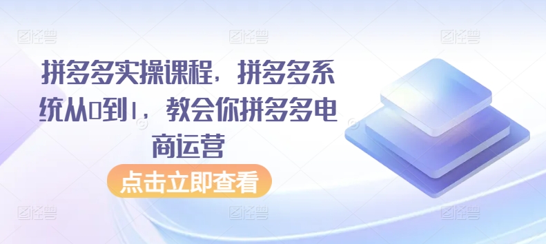 拼多多实操课程，拼多多系统从0到1，教会你拼多多电商运营-网赚项目众筹网