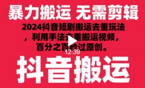 2024最新抖音搬运技术,抖音短剧视频去重,手法搬运,利用工具去重,达到秒过原创的效果【揭秘】-网赚项目众筹网