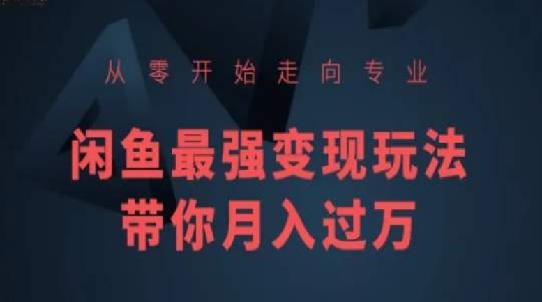 从零开始走向专业，闲鱼最强变现玩法带你月入过万-网赚项目众筹网