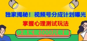 独家揭秘!视频号分成计划曝光,掌握心理测试玩法,快速实现1000元收益【揭秘】-网赚项目众筹网