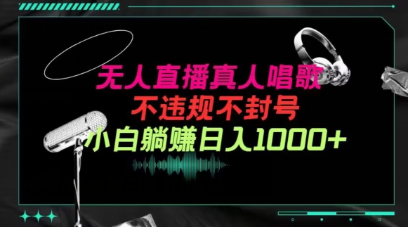 抖音24小时无人直播音乐，不违规，不封号纯撸音浪，小白实操当天日入1000+【揭秘】-网赚项目众筹网