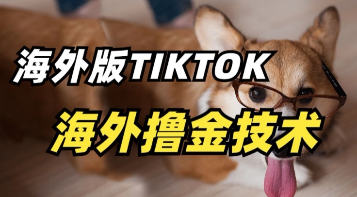 抖音海外版tiktok撸金技术，这个风口行业，赚钱真的不难【揭秘】-网赚项目众筹网