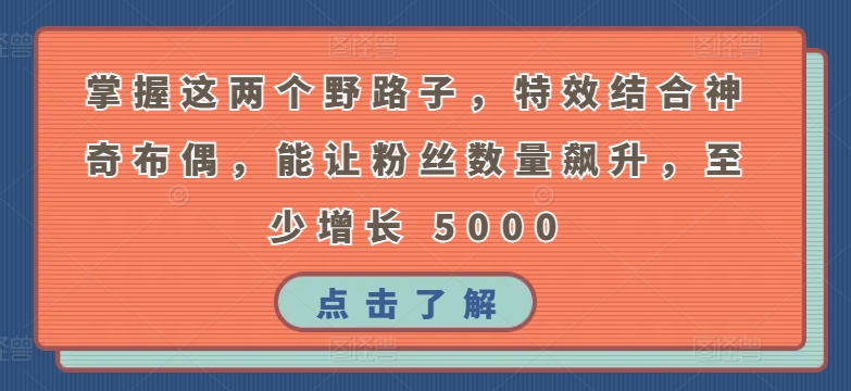 掌握这两个野路子，特效结合神奇布偶，能让粉丝数量飙升，至少增长 5000【揭秘】-网赚项目众筹网