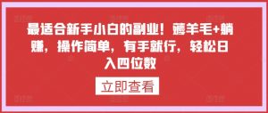 最适合新手小白的副业!薅羊毛+躺赚,操作简单,有手就行,轻松日入四位数【揭秘】-网赚项目众筹网