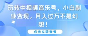 玩转中视频音乐号,小白副业变现,月入过万不是幻想【揭秘】-网赚项目众筹网