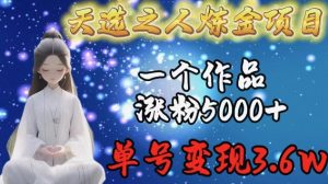 天选之人炼金项目，一个作品涨粉5000+，单号变现3.6w【揭秘】-网赚项目众筹网