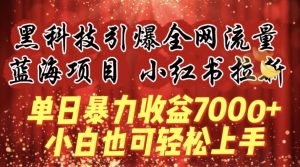 蓝海项目!黑科技引爆全网流量小红书拉新,单日暴力收益7000+,小白也能轻松上手【揭秘】-网赚项目众筹网