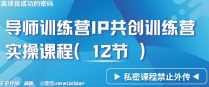 导师训练营3.0IP共创训练营私密实操课程（12节）-卖项目的密码成功秘诀【揭秘】-网赚项目众筹网