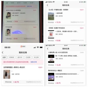 2024年3月最新,快手磁力聚星全流程实操教学,8台手机日均收益稳定100~200元【揭秘】-网赚项目众筹网