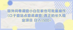 国外问卷调查小白在家也可批量操作(口子查站点查渠道查)真正的长久稳定项目 日入1500+【揭秘】-网赚项目众筹网