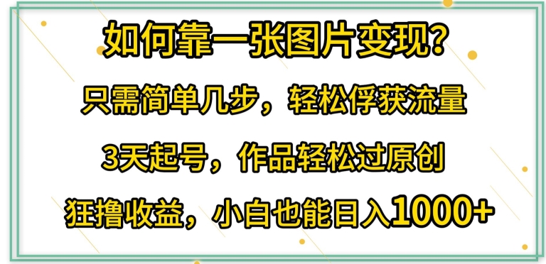 如何靠一张图片变现?只需简单几步，轻松俘获流量，3天起号，作品轻松过原创【揭秘】-网赚项目众筹网