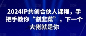 2024IP共创合伙人课程,手把手教你“割韭菜”,下一个大佬就是你-网赚项目众筹网