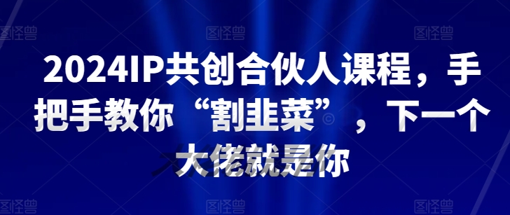 2024IP共创合伙人课程，手把手教你“割韭菜”，下一个大佬就是你-网赚项目众筹网
