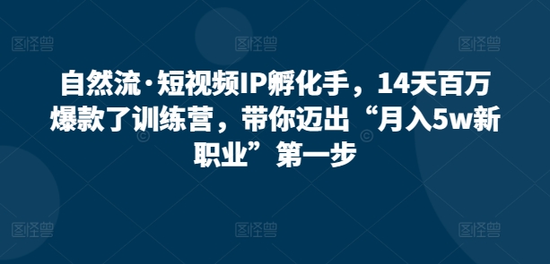 自然流·短视频IP孵化手，14天百万爆款了训练营，带你迈出“月入5w新职业”第一步-网赚项目众筹网