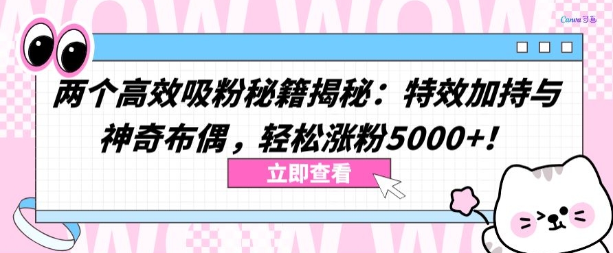 两个高效吸粉秘籍揭秘：特效加持与神奇布偶，轻松涨粉5000+【揭秘】-网赚项目众筹网