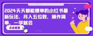 2024天天都能爆单的小红书最新玩法,月入五位数,操作简单,一学就会【揭秘】-网赚项目众筹网