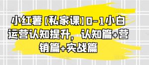 小红薯【私家课】0-1小白运营认知提升,认知篇+营销篇+实战篇-网赚项目众筹网