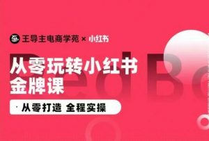 王导主·小红书电商运营实操课,从零打造 全程实操-网赚项目众筹网
