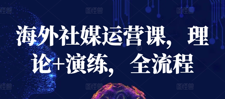 海外社媒运营课，理论+演练，全流程-网赚项目众筹网