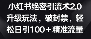 小红书绝密引流术2.0升级玩法,破封禁,轻松日引100+精准流量【揭秘】-网赚项目众筹网