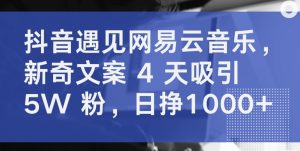 抖音遇见网易云音乐,新奇文案 4 天吸引 5W 粉,日挣1000+【揭秘】-网赚项目众筹网