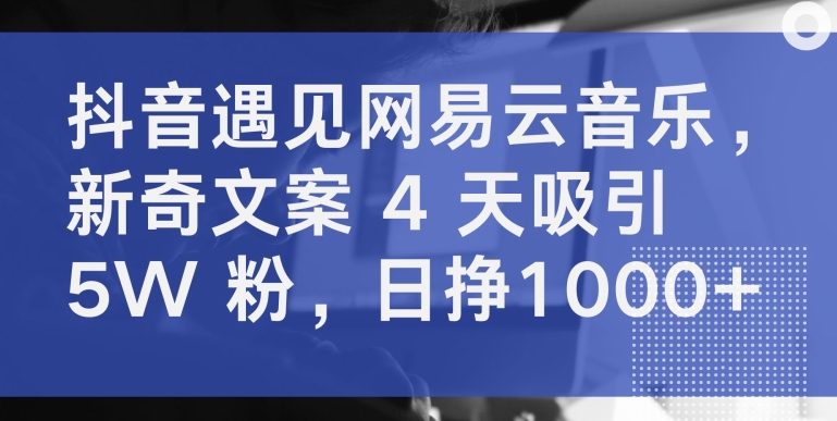 抖音遇见网易云音乐，新奇文案 4 天吸引 5W 粉，日挣1000+【揭秘】-网赚项目众筹网