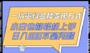 一份资料多种变现方式,小白也能轻松上手,日入800不是问题【揭秘】-网赚项目众筹网