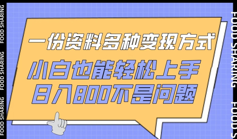 一份资料多种变现方式，小白也能轻松上手，日入800不是问题【揭秘】-网赚项目众筹网