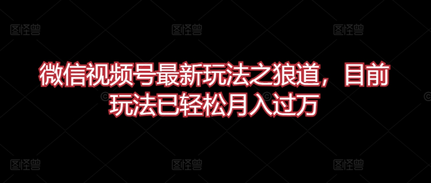 微信视频号最新玩法之狼道，目前玩法已轻松月入过万【揭秘】-网赚项目众筹网