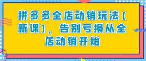 拼多多全店动销玩法【新课】,告别亏损从全店动销开始-网赚项目众筹网