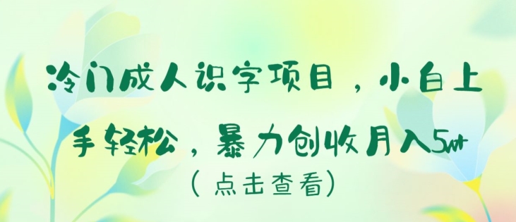 冷门成人识字项目，小白上手轻松，暴力创收月入5w+【揭秘】-网赚项目众筹网