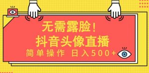 无需露脸,Ai头像直播项目,简单操作日入500+【揭秘】-网赚项目众筹网