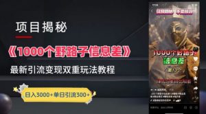 一千个野路子信息差最新玩法教程-变现+引流的玩法具体拆解【揭秘】-网赚项目众筹网