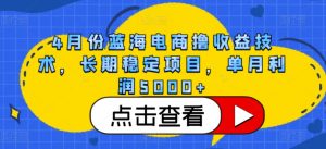 4月份蓝海电商撸收益技术,长期稳定项目,单月利润5000+【揭秘】-网赚项目众筹网