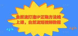 自然流打造IP正确方法线上课,自然流短视频教程-网赚项目众筹网