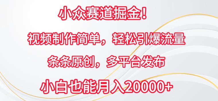 小众赛道掘金，视频制作简单，轻松引爆流量，条条原创，多平台发布【揭秘】-网赚项目众筹网