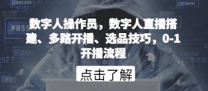 数字人操作员，数字人直播搭建、多路开播、选品技巧，0-1开播流程-网赚项目众筹网