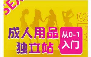 成人用品独立站从0-1入门,成品独立站运营全流程教学,七大好卖成品独立站推荐-网赚项目众筹网