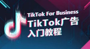 TikTok广告入门教程,从0到1掌握TikTok投放的全流程-网赚项目众筹网