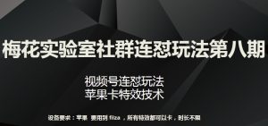 梅花实验室社群连怼玩法第八期,视频号连怼玩法 苹果卡特效技术【揭秘】-网赚项目众筹网