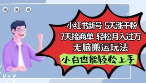 小红书影视泥巴追剧5天涨千粉,7天接商单,轻松月入过万,无脑搬运玩法【揭秘】-网赚项目众筹网