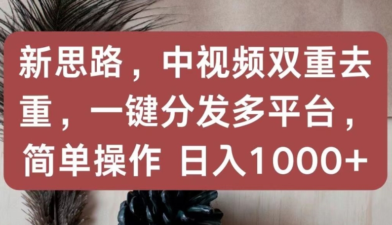 新思路，中视频双重去重，一键分发多平台，简单操作，日入1000+【揭秘】-网赚项目众筹网