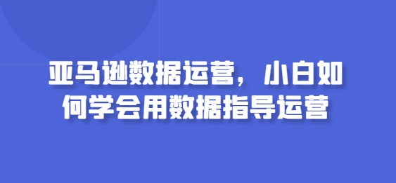 亚马逊数据运营，小白如何学会用数据指导运营-网赚项目众筹网