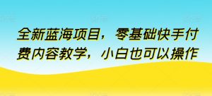 全新蓝海项目，零基础快手付费内容教学，小白也可以操作【揭秘】-网赚项目众筹网