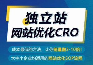 独立站网站优化CRO,成本最低的方法,让你销量翻3-10倍-网赚项目众筹网
