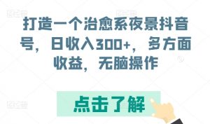 打造一个治愈系夜景抖音号,日收入300+,多方面收益,无脑操作【揭秘】-网赚项目众筹网