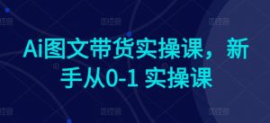Ai图文带货实操课,新手从0-1 实操课-网赚项目众筹网