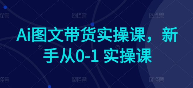 Ai图文带货实操课，新手从0-1 实操课-网赚项目众筹网