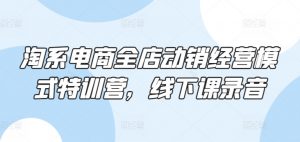 淘系电商全店动销经营模式特训营,线下课录音-网赚项目众筹网