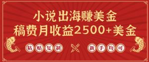 小说出海赚美金,稿费月收益2500+美金,仅需chatgpt粘贴复制,新手也能玩转【揭秘】-网赚项目众筹网